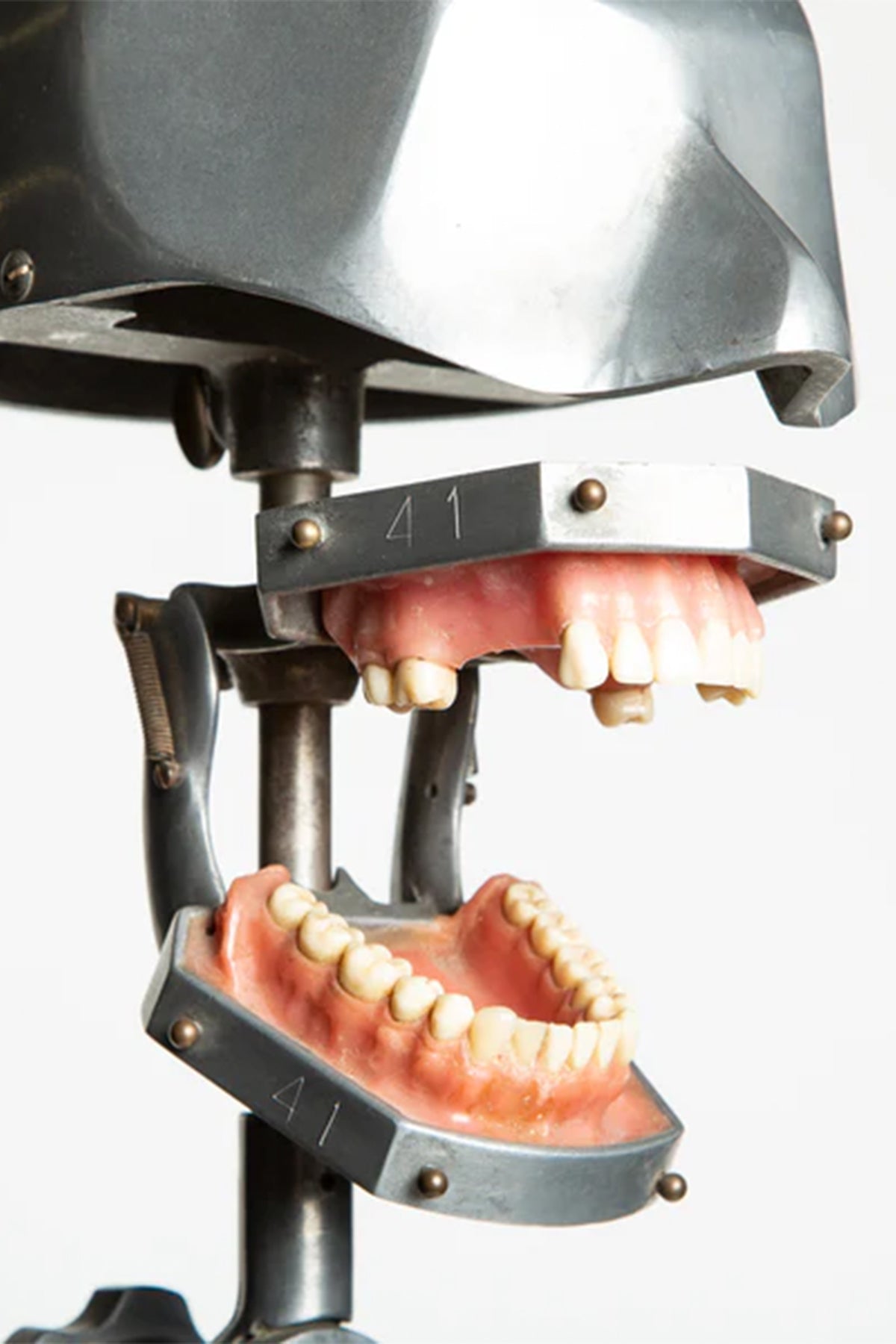 MAXFIELD PRIVATE COLLECTION | 1940'S DENTAL PHANTOM WITH STAND