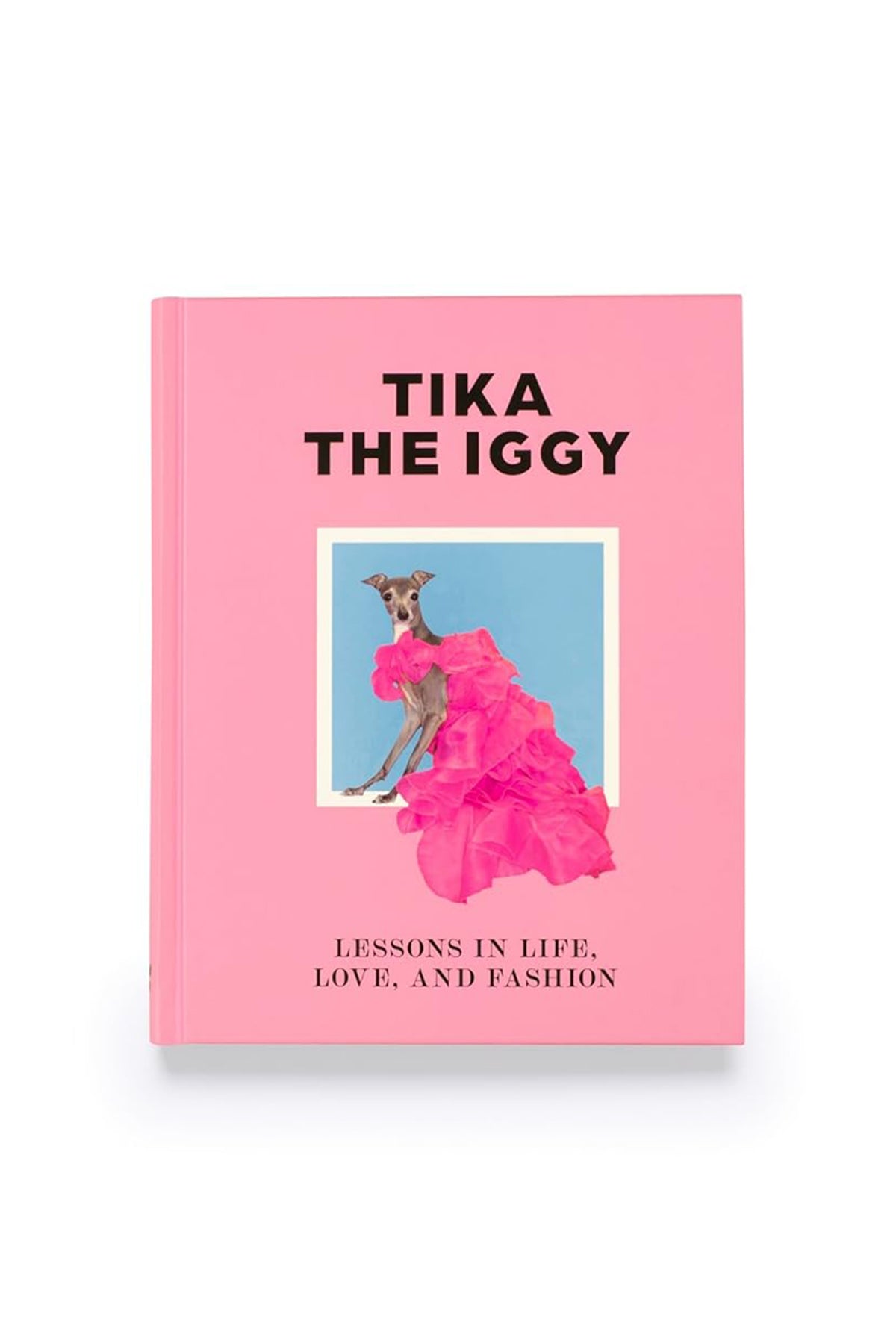 LAURENCE KING | TIKA THE IGGY