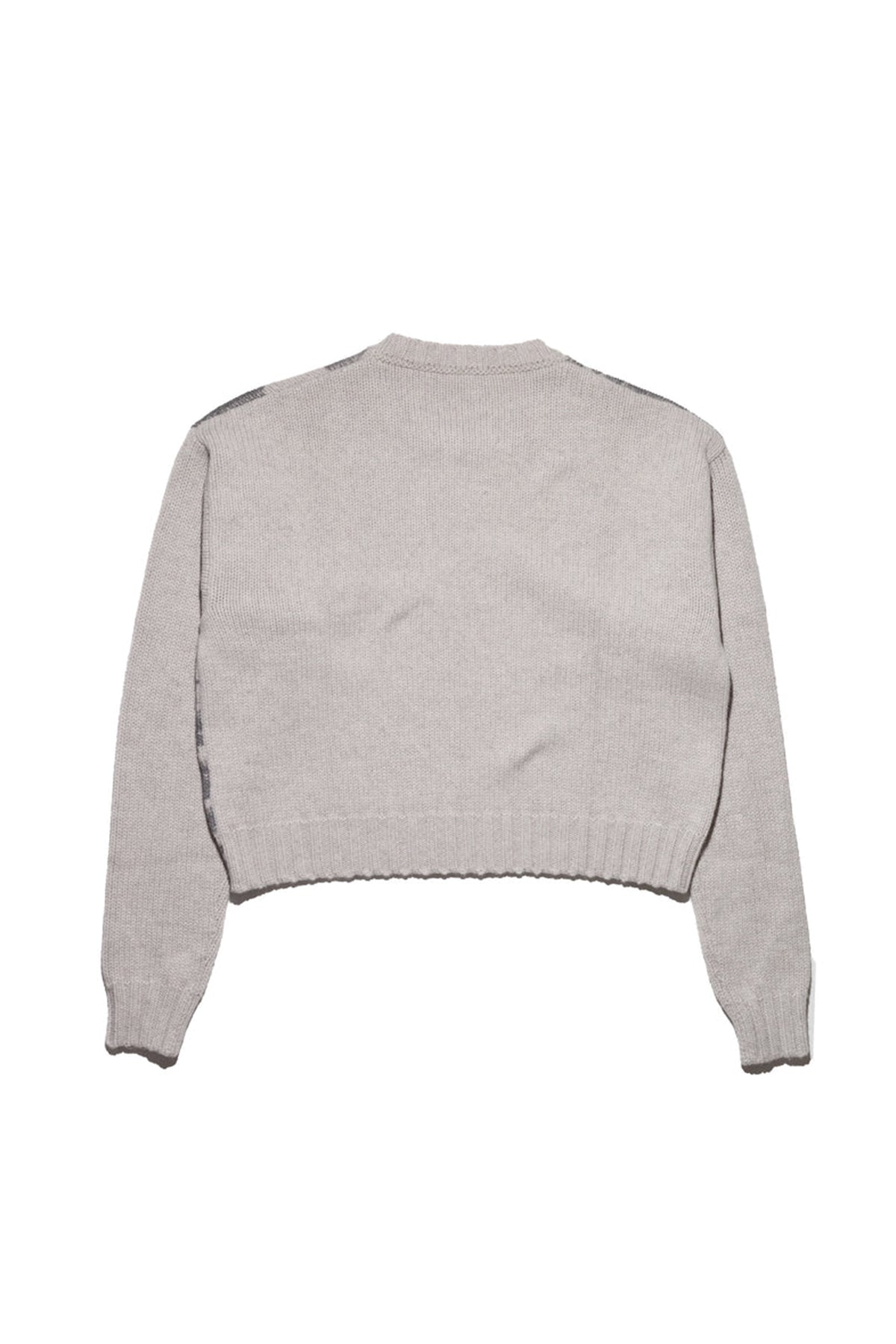 ENFANTS RICHES DÉPRIMÉS | PAST IN VAIN CREWNECK SWEATER