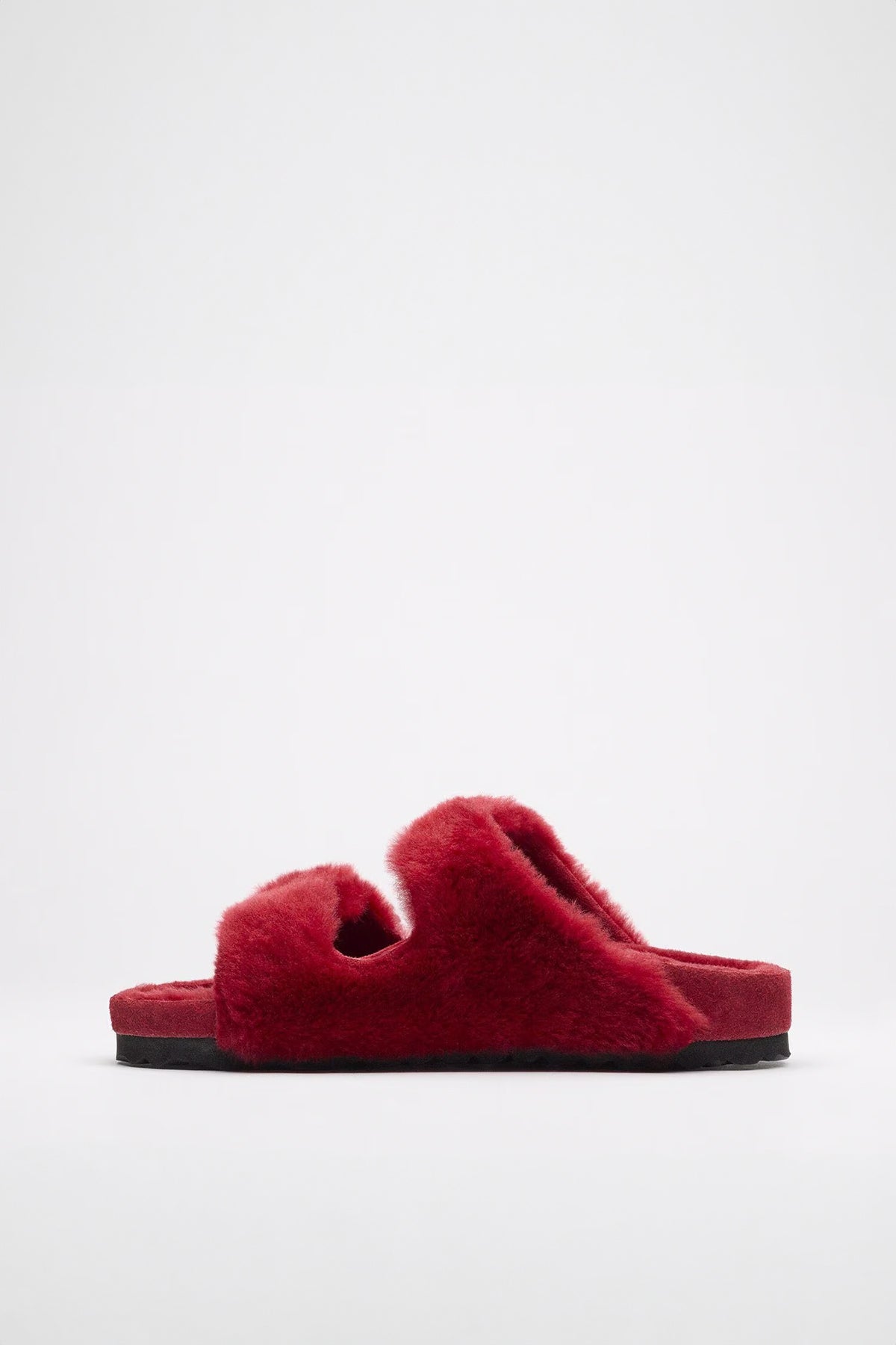 BIRKENSTOCK | ARIZONA SHEARLING BUCKLE 1774