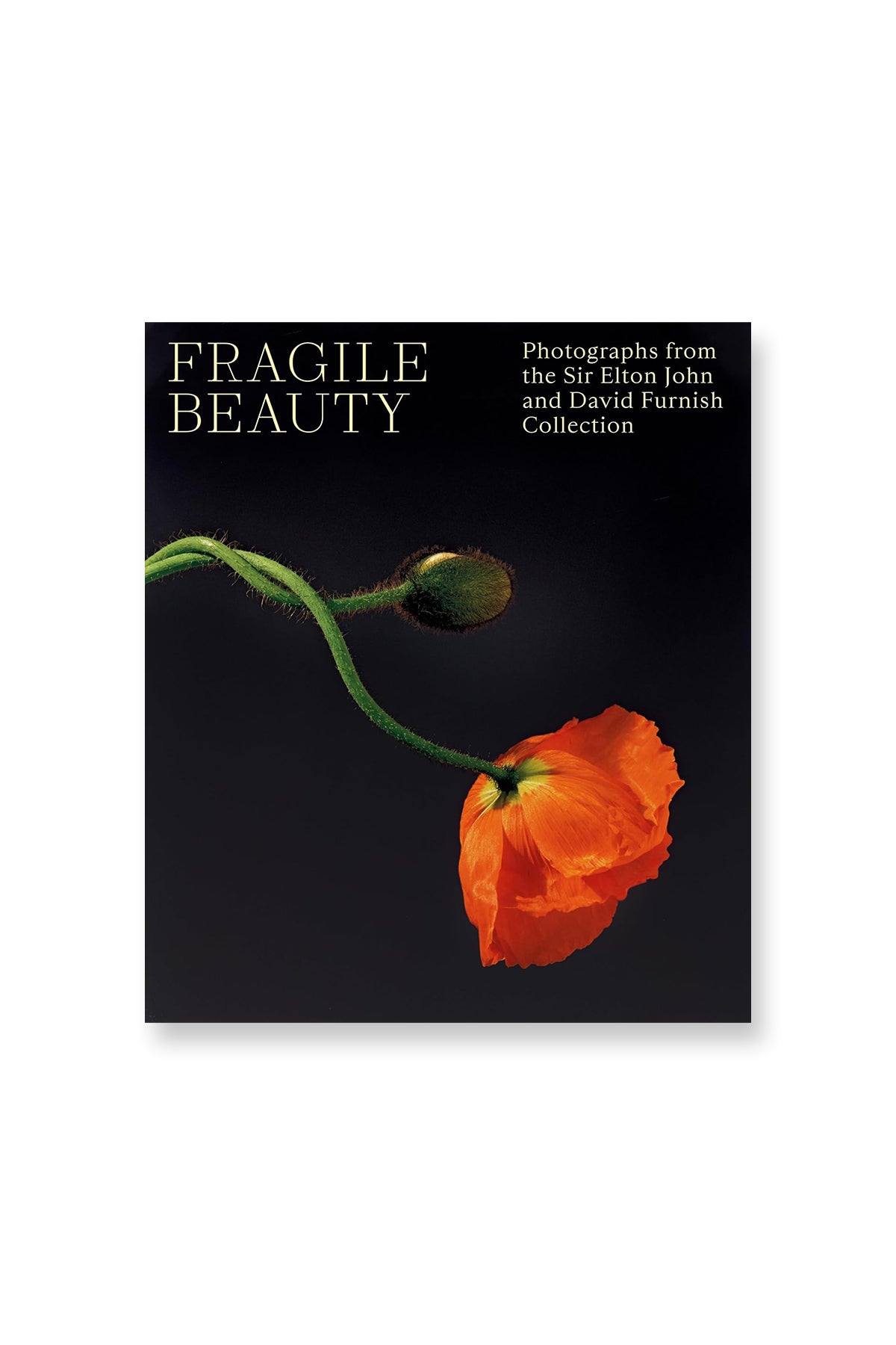 V&A PUBLISHING | FRAGILE BEAUTY: SIR ELTON JOHN