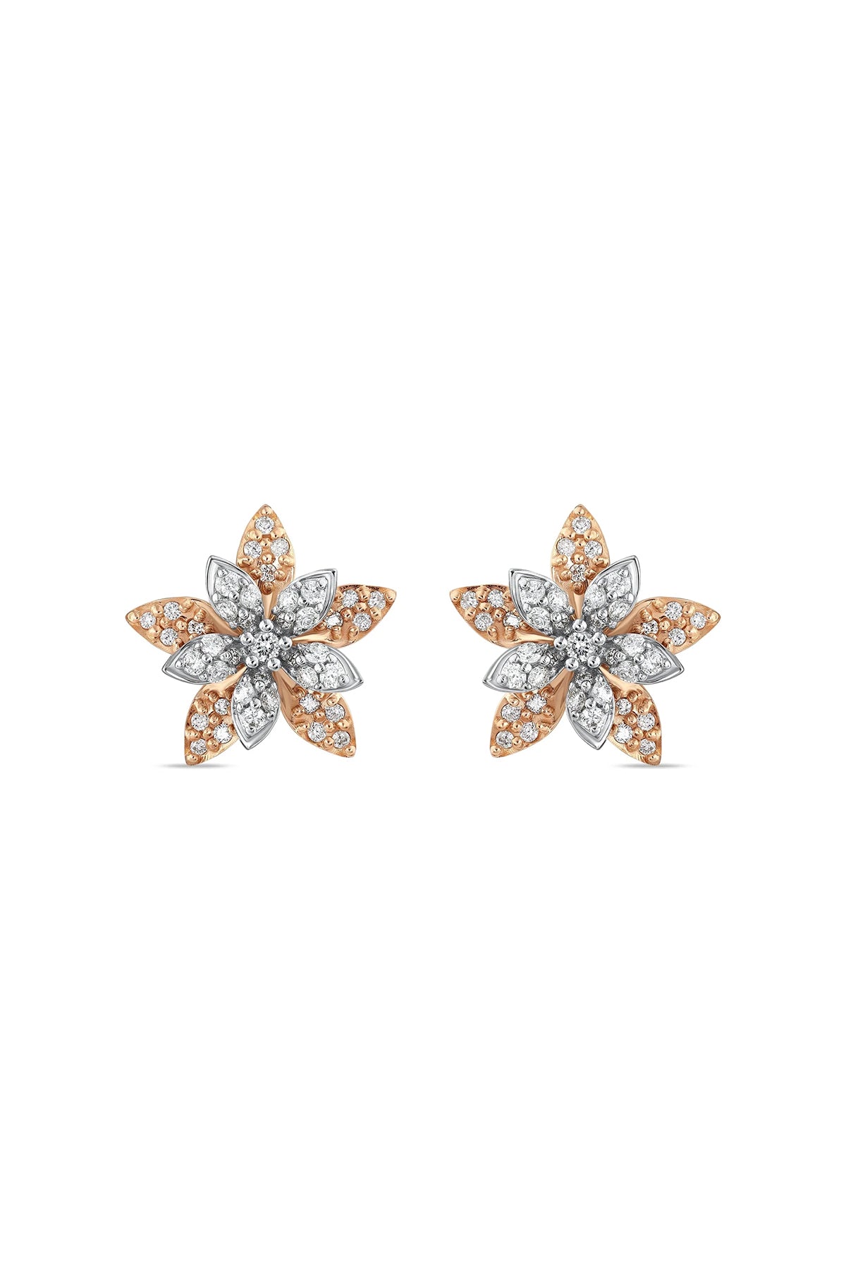 BEE GODDESS | ROSE-WHITE GOLD APPLE SEED DIAMOND EARRINGS - MAXFIELD LA