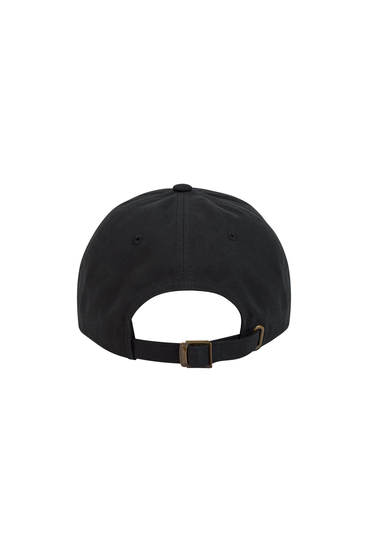 EREWHON | DAD HAT - MAXFIELD LA