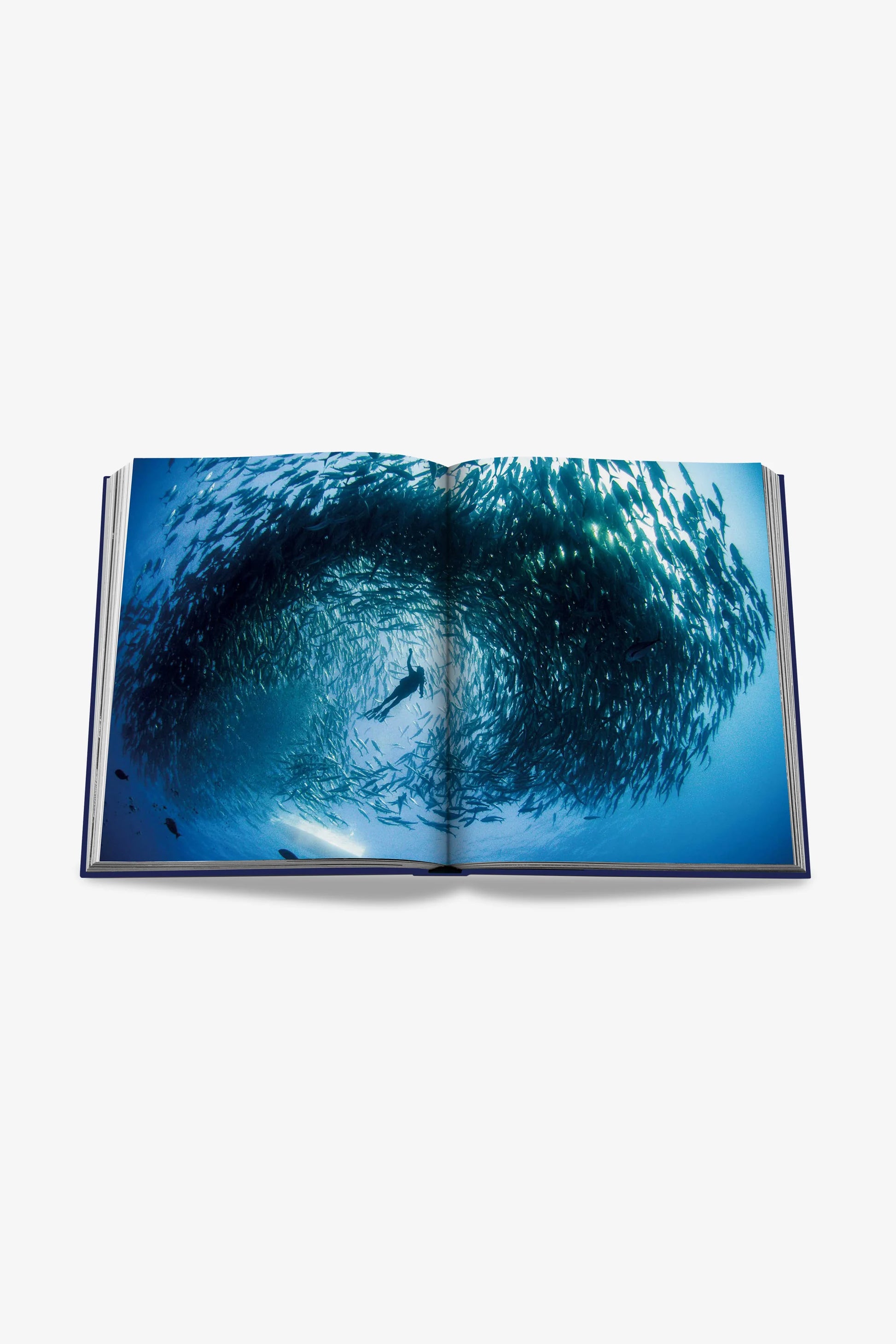 ASSOULINE | OCEAN WANDERLUST - MAXFIELD LA