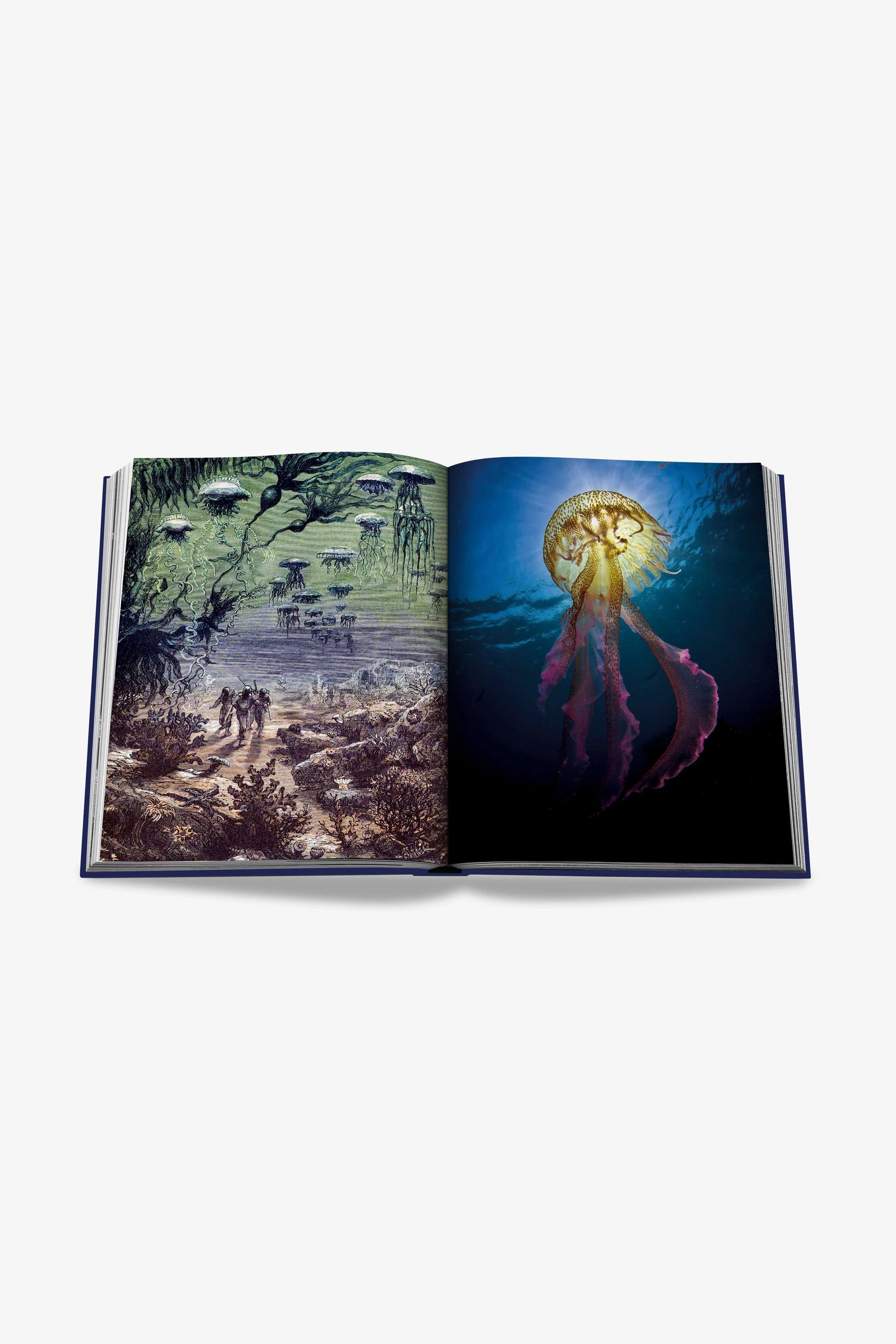 ASSOULINE | OCEAN WANDERLUST - MAXFIELD LA