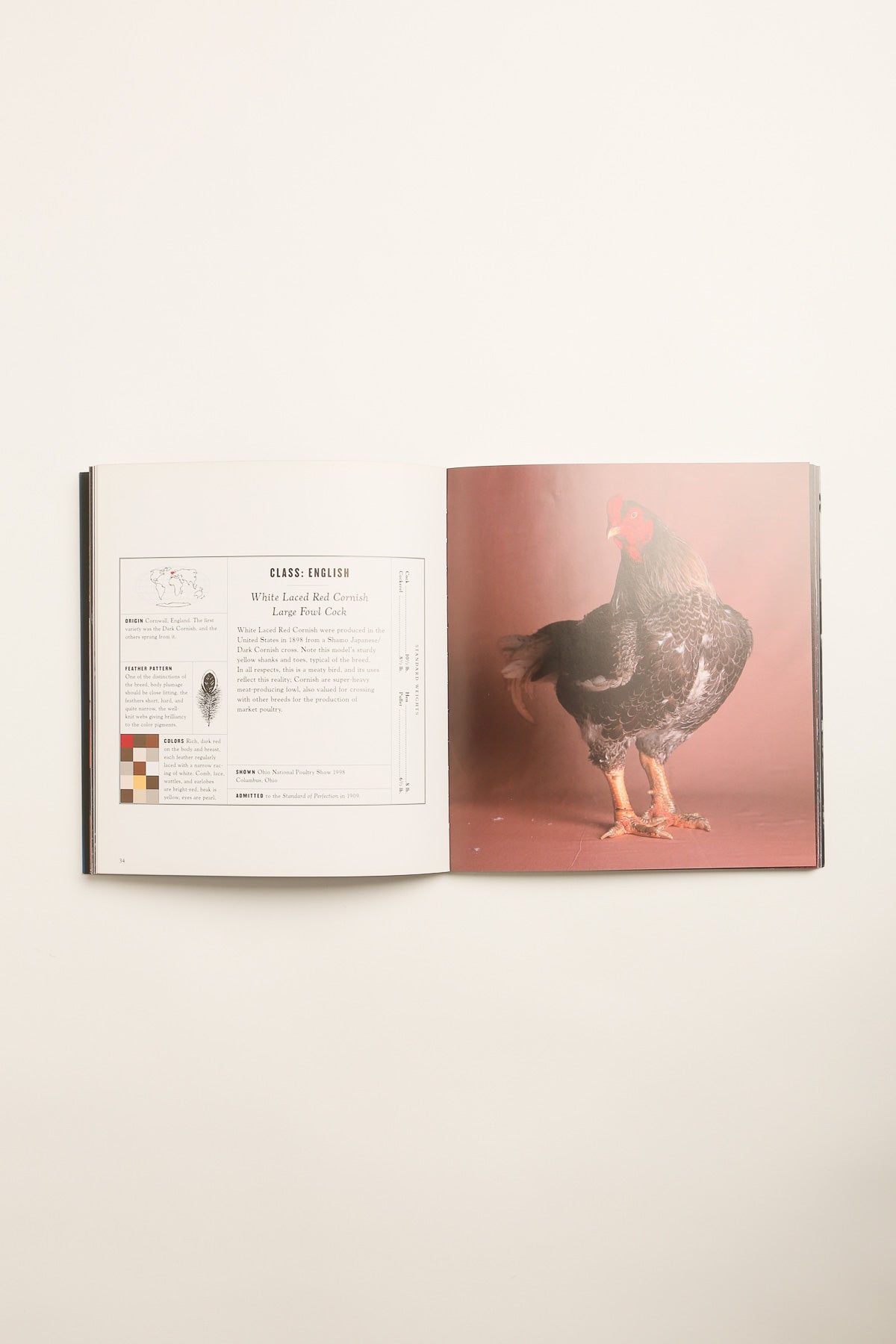 CHRONICLE | THE FAIREST FOWL: PORTRAITS OF CHAMPIONSHIP CHICKENS ...