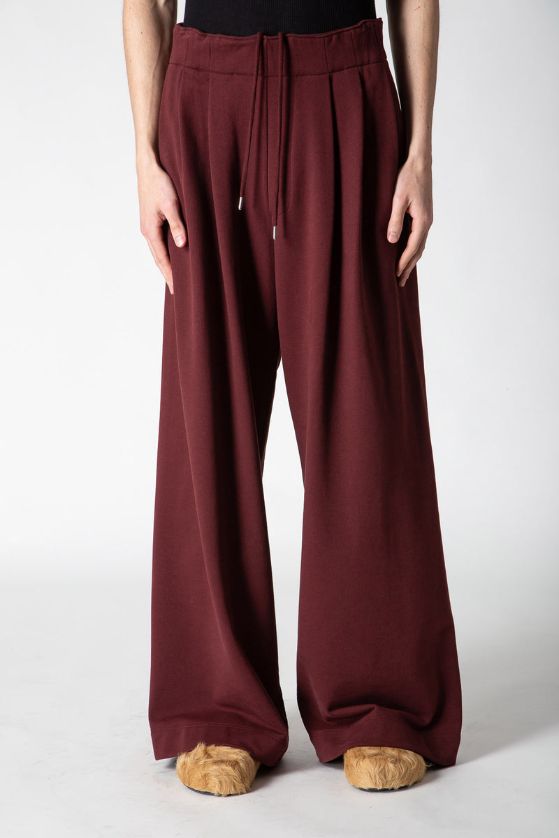 DRIES VAN NOTEN | HAMA PANTS